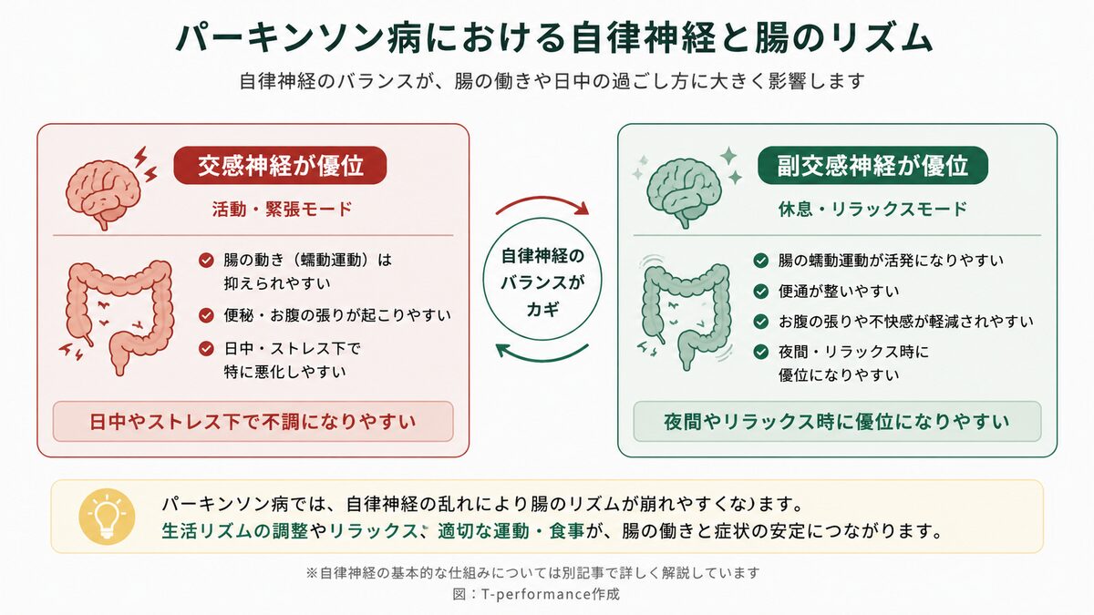 パーキンソン病の自律神経と腸のリズムの関係を示す図解