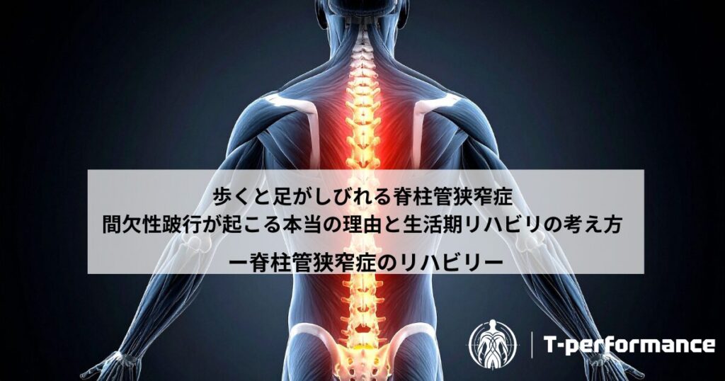脊柱管狭窄症のリハビリについて｜しずおかんおリハビリ・コンディショニングラボ　T-performance