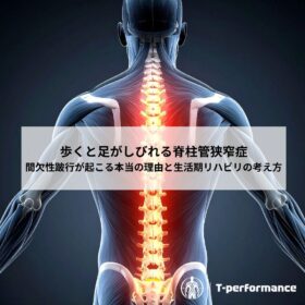 脊柱管狭窄症のリハビリについて｜しずおかんおリハビリ・コンディショニングラボ　T-performance