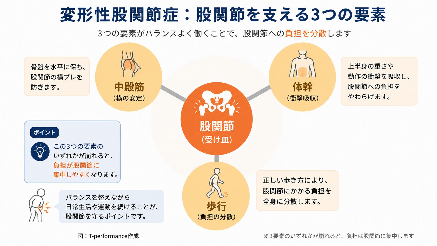 変形性股関節症 中殿筋・体幹・歩行の3要素が股関節を支える関係を示すインフォグラフィック