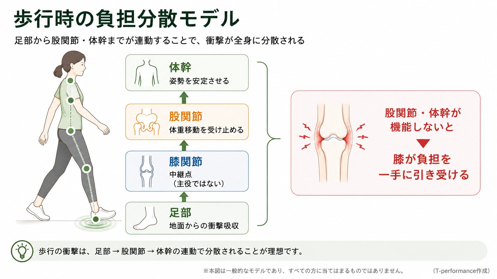 歩行時の衝撃が足部・股関節・体幹を通じて分散される仕組みを示した図解