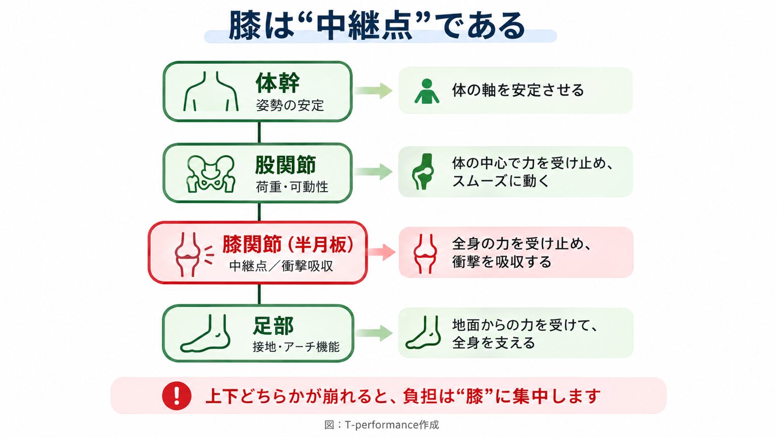 膝関節が体幹・股関節・足部と連動する中継点であることを示した図解