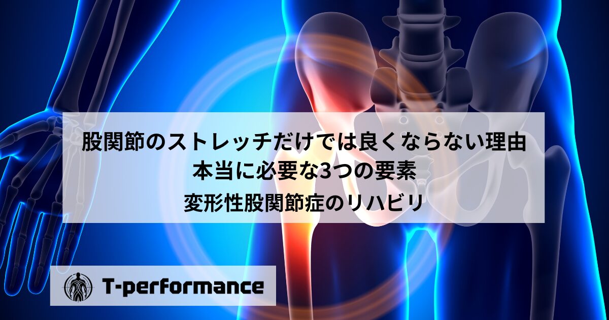 股関節のストレッチだけでは良くならない理由｜本当に必要な3つの要素【理学療法士が解説】