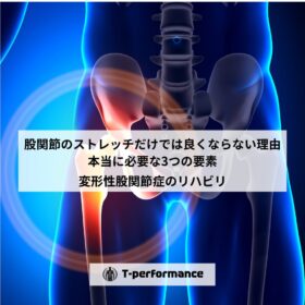 股関節のストレッチだけでは良くならない理由｜本当に必要な3つの要素【理学療法士が解説】