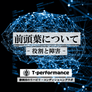 前頭葉の役割と障害｜T-performance【静岡】