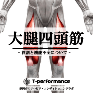 大腿四頭筋の役割とセルフケアの重要性